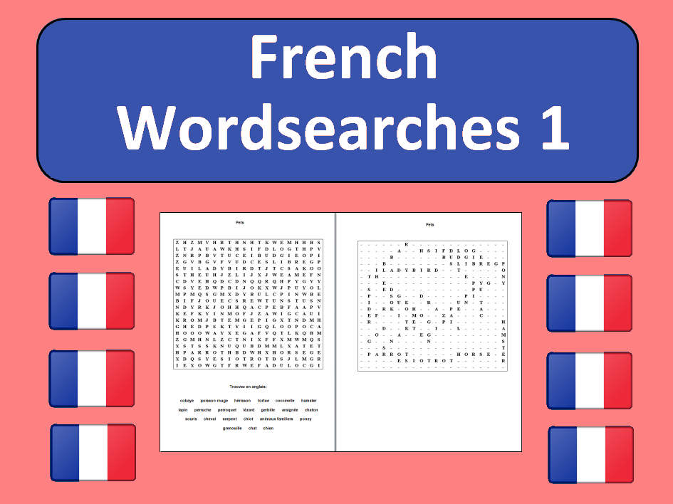 French word search puzzles 1